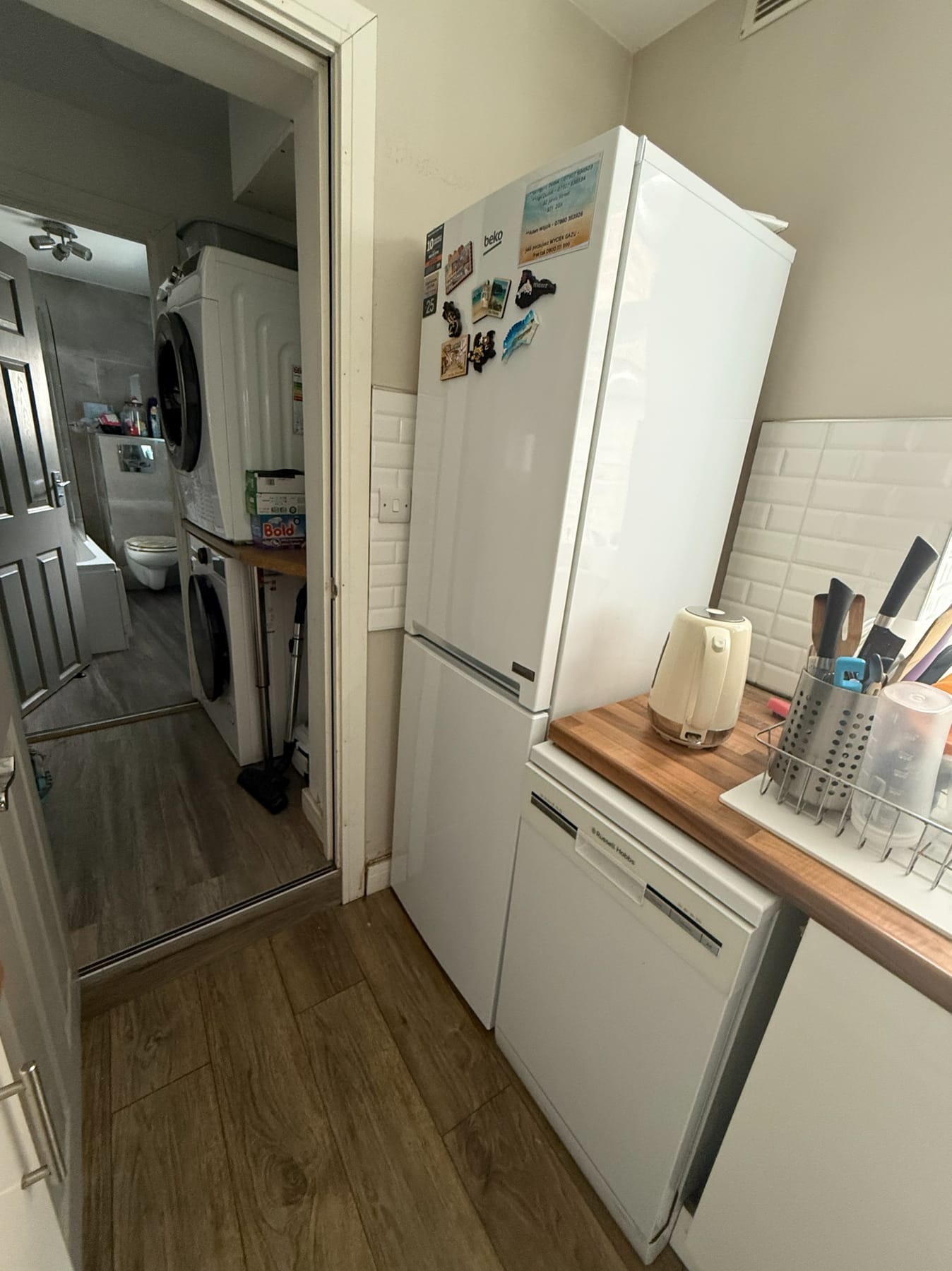 Kitchen fridge and dishwasher, current condition 2026